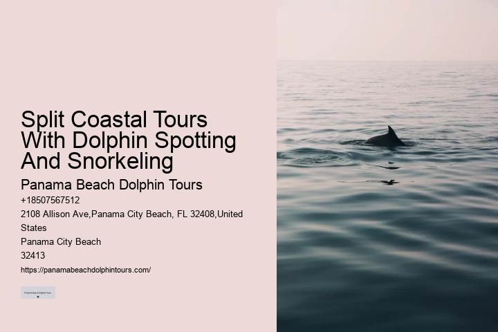 Dolphin encounters in Panama City Beach
