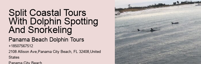 Dolphin Cruise 30a