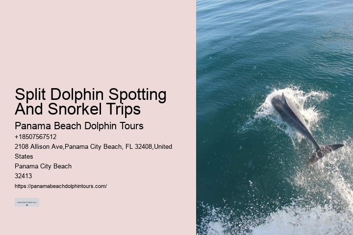 Split Boat Trips For Dolphin Watching And Snorkeling