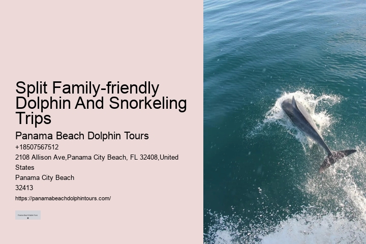 Panama City Beach dolphin boat adventures
