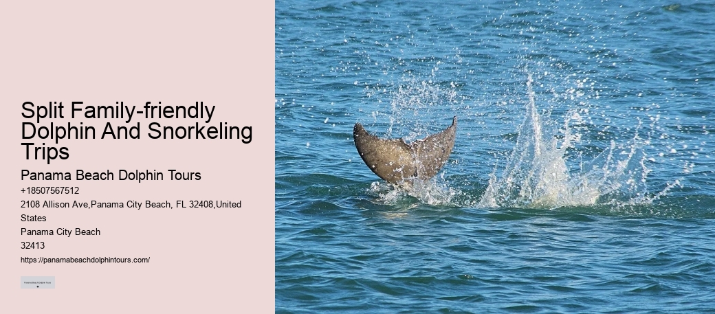 Dolphin Split