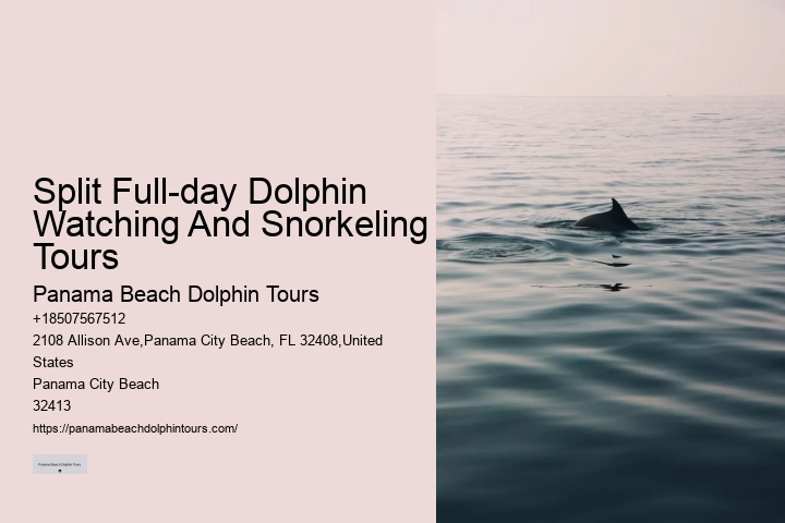 How Much Does It Cost To Swim With The Dolphins At Panama City Beach