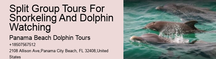 Jet Ski Dolphin Tours Near Me