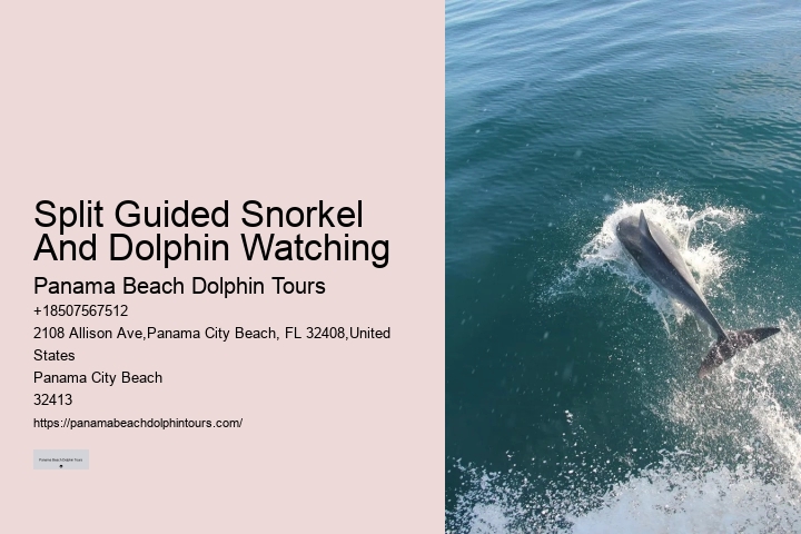 Panama City Beach Dolphin Sunset Cruise