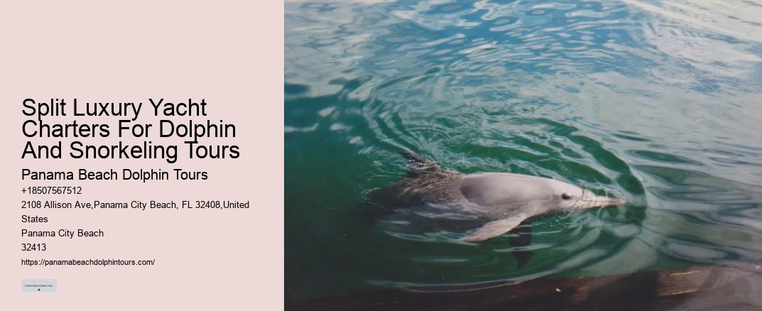 Split Luxury Yacht Charters For Dolphin And Snorkeling Tours
