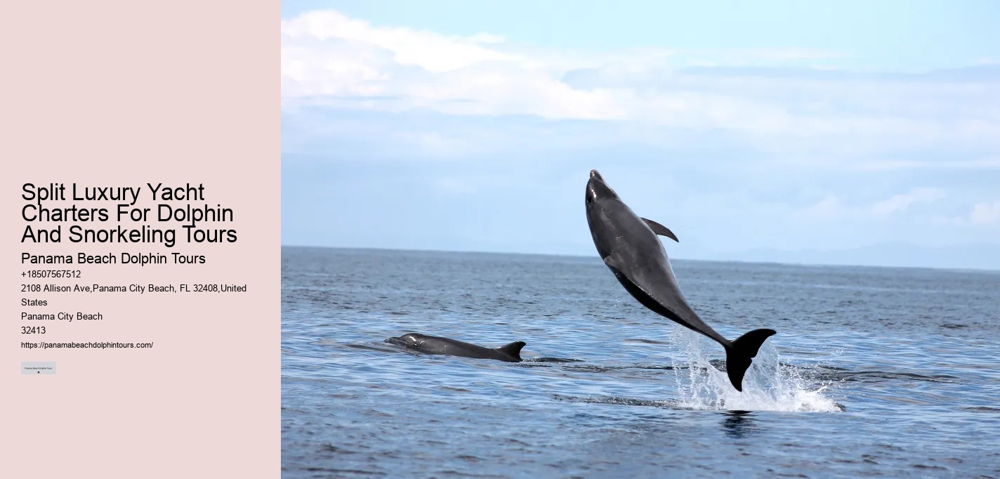 Do Dolphins Use Scent