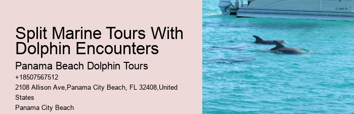Behind The Smiles: The Suffering Endured By Captive Dolphins