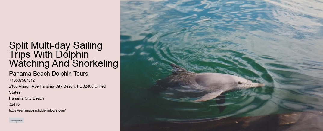 Split Multi-day Sailing Trips With Dolphin Watching And Snorkeling