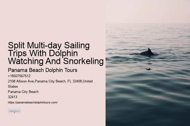 Split All-inclusive Dolphin And Snorkeling Vacations
