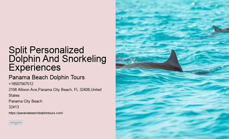 Shell Island Blue Dolphin Tours
