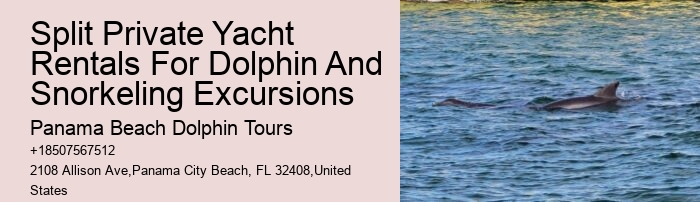 Catamaran Dolphin Tour Panama City Beach