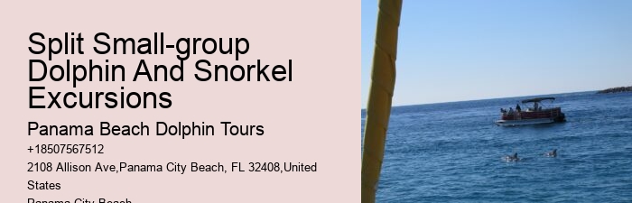 PCB Dolphin Viewing Tours