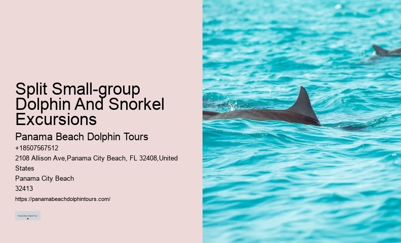 Panama City Beach Shell Island Dolphin Tour
