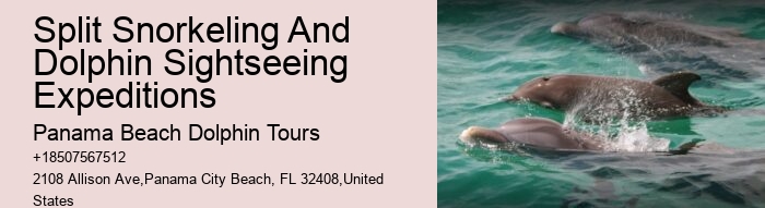 Split Private Luxury Dolphin And Snorkeling Tours