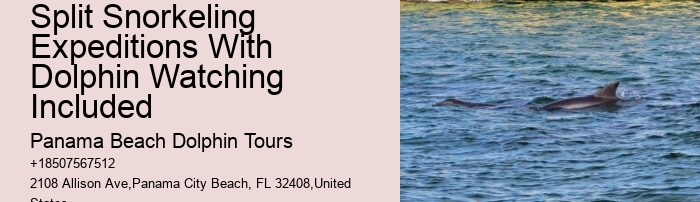 Sweet Sunsets And Dolphin Tours
