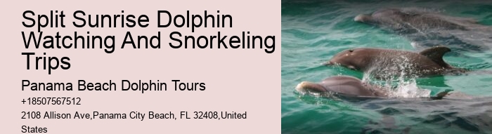 Panama City Beach dolphin watching excursions