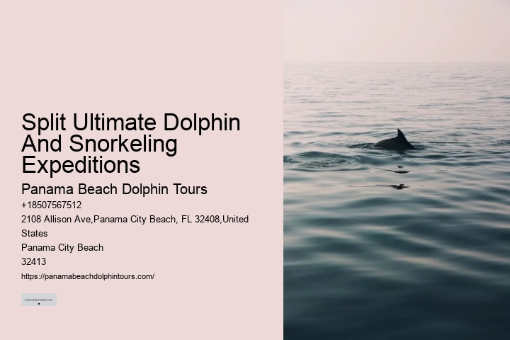 Dolphin's Dark Side Uncovered: The Shocking Truth