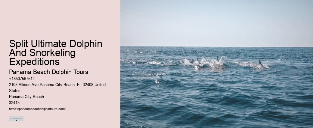 What Is The Natural Enemy Of Dolphins
