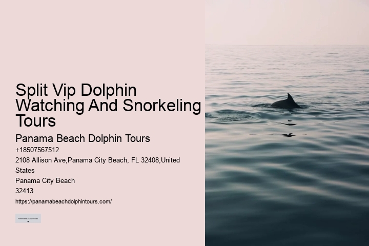 Split Exclusive Dolphin And Snorkeling Charters