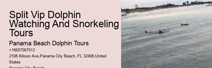 Panama City Beach Dolphin Tours Panama City Beach