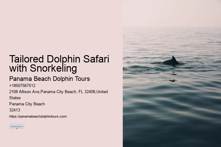 Rosemary Beach Dolphin Tours
