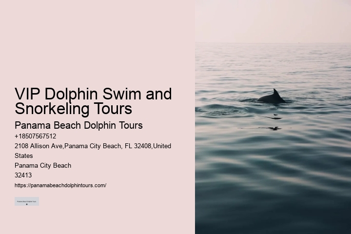 Secluded Dolphin Exploration with Snorkeling