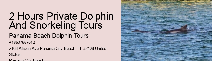Do You Know Why Dolphins Swim Beside Ships