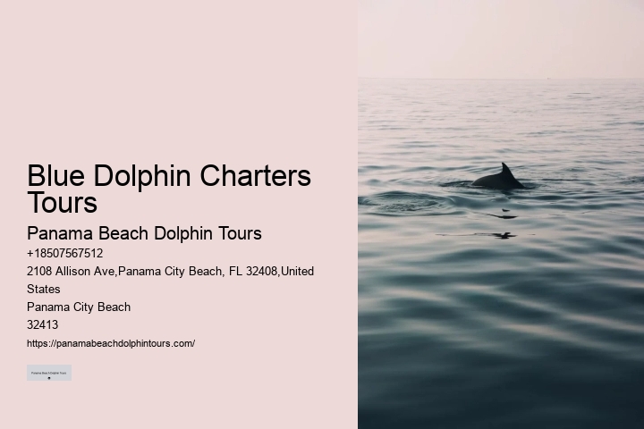VIP Dolphin Swim and Snorkeling Tours