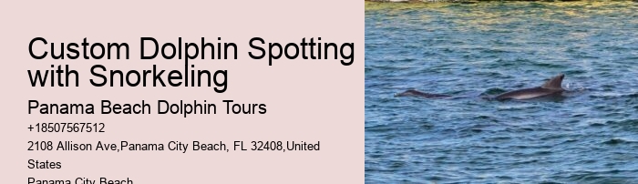 Do Dolphins Swim Humans To Shore