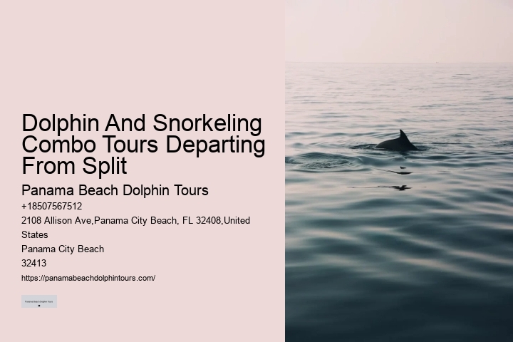 Split Thrilling Snorkeling And Dolphin Encounters
