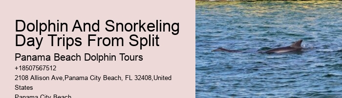 Split Memorable Dolphin And Snorkeling Adventures