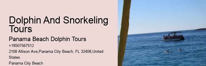 What is the best time of year to go on a dolphin tour in Panama City Beach