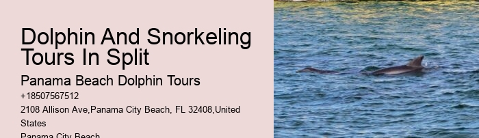PCB Dolphin Exploration Trips