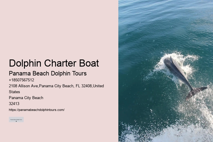 What is the average group size on a dolphin tour in Panama City Beach