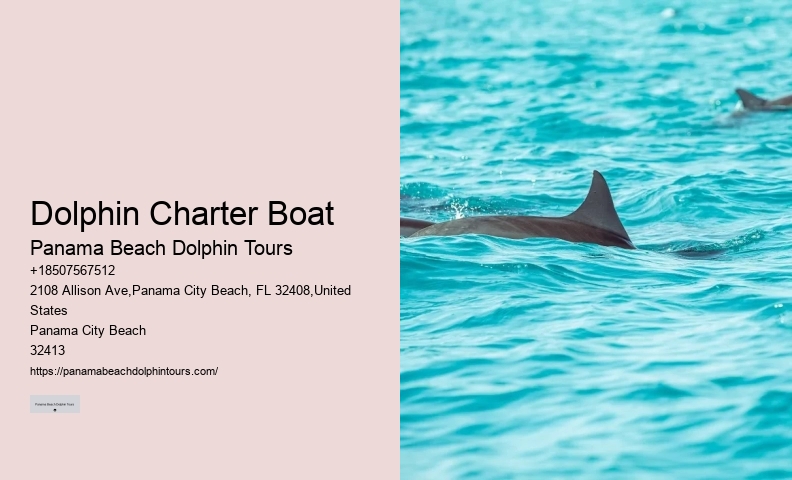 Dolphin Exploration Cruises in Panama City Beach