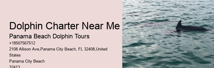 Guidelines For Interaction With Wild Dolphins In Florida