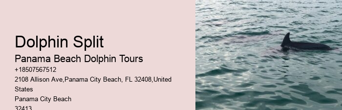 Panama City Beach Boat Cruise