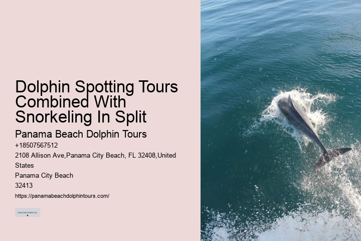 Private 2 Hour Dolphin Cruise