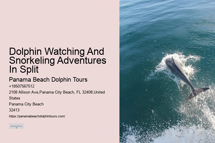 Secluded Dolphin Adventure and Snorkeling Experience