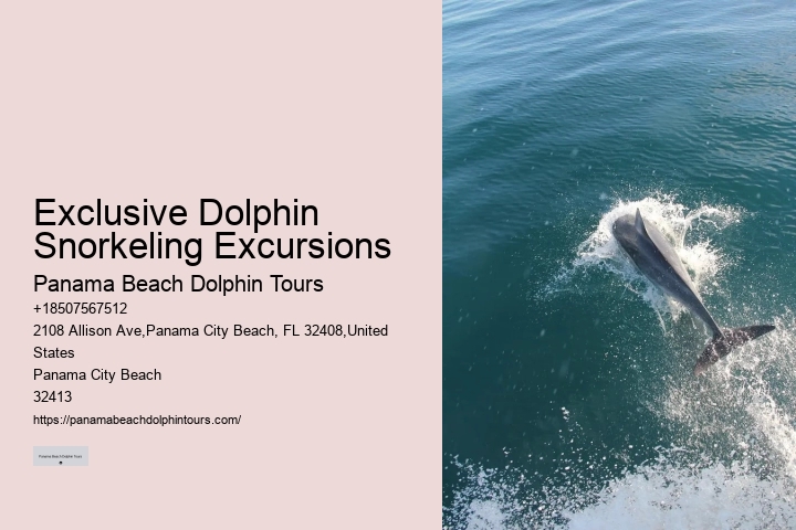 Where In Florida Do You Swim With Dolphins