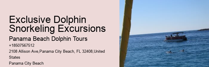What Is The Life Expectancy Of A Dolphin In Captivity