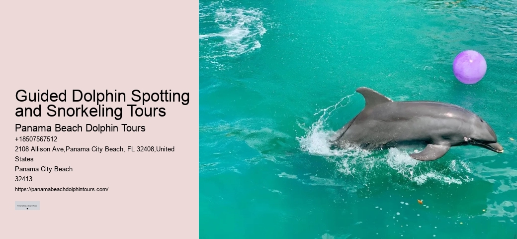 Sunset Dolphin Tour Panama City Beach