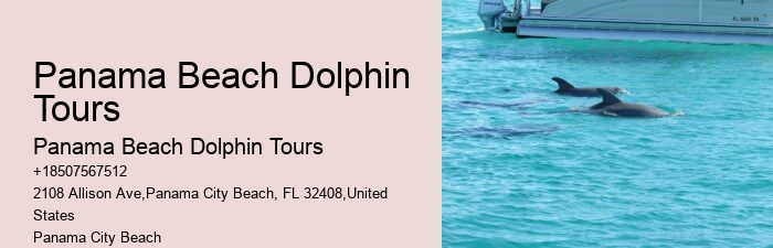 Can I bring my own food and drinks on the dolphin tour