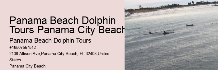 Dolphin Excursion