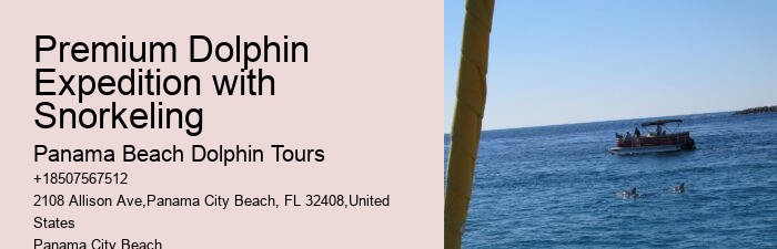 Why Shouldn't You Touch Dolphins