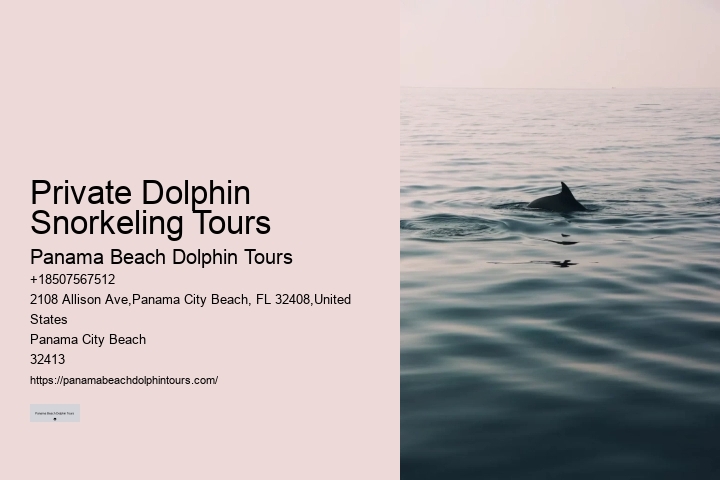 Deluxe Dolphin Safari and Snorkeling Trips