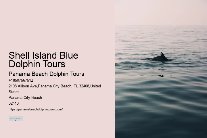 Eco Dolphin Tours