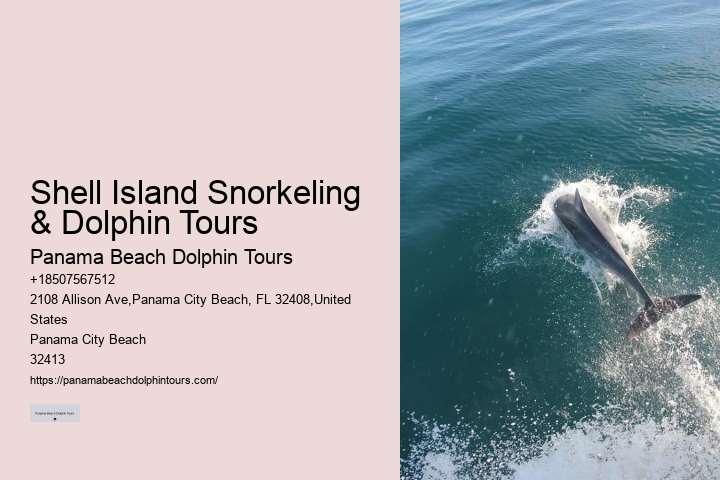 Panama City Beach Dolphin Voyage Tours