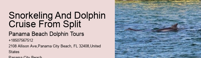 Panama City Beach Speed Boat Tour