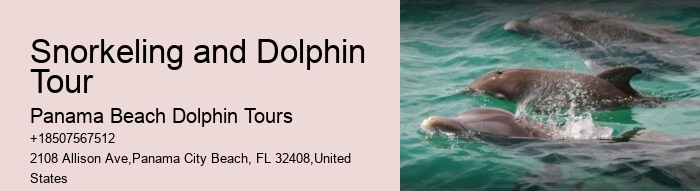 How Long Does The Dolphin Cruise Last